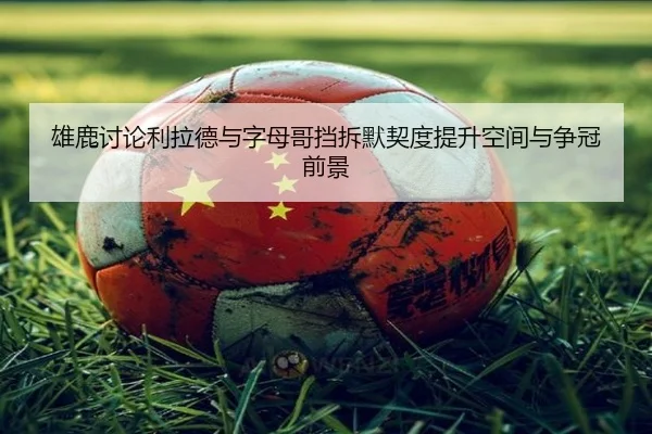 雄鹿讨论利拉德与字母哥挡拆默契度提升空间与争冠前景